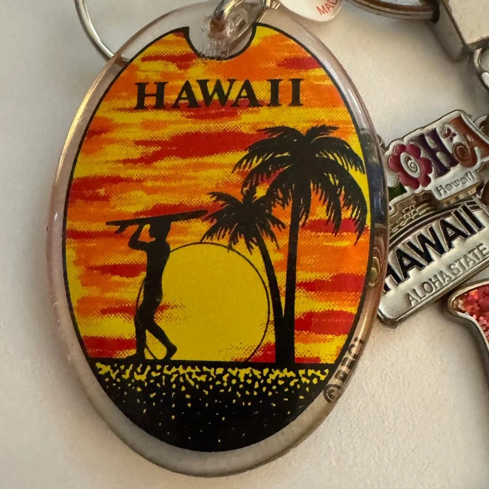 Hawaii‎ Souvenir Keychain Lot Sunset Palm Tree Letter M Flower Charm